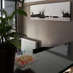 卡尔顿酒店 美因河畔法兰克福